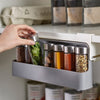 UNDER SHELF SPICE STORAGE + 6 SEASONING BOTTLES